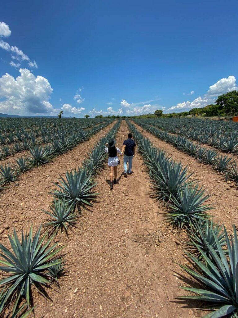 Tequila, Jalisco
