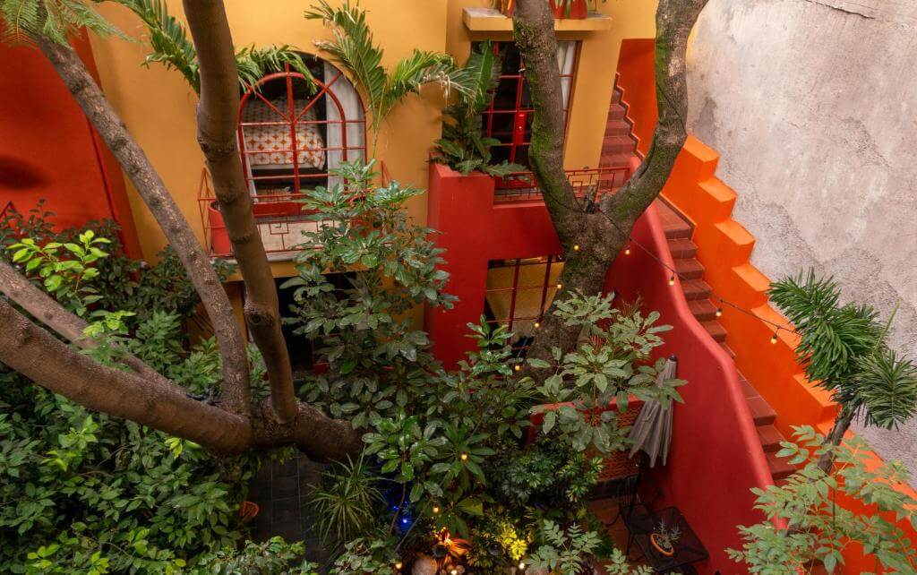 The patio of the Red Tree House in Mexico City 