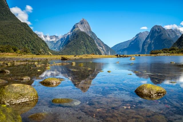 New Zealand landscape