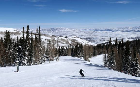 Someone skiing down the slope in the Rocky Mountains, experiencing adventure tourism 