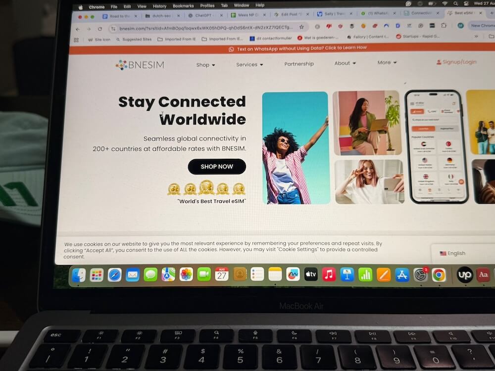 bnesim home page 