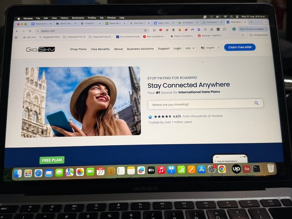 gigsky interface 